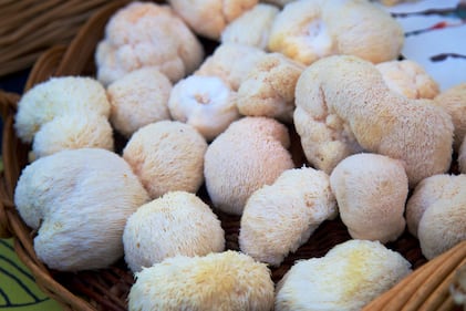 Lion's mane mushrooms