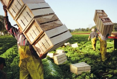 Beware unlicenced gangmasters offering Bulgarian and Romanian workers, food firms have been warned