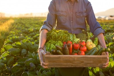 Organic food and drink sales outperformed conventional products in the year to 25 August 2024. Image credit: Getty / alle12