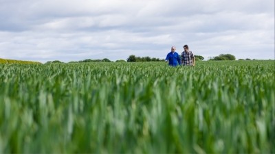 The value of both arable and pasture land increased during Q3. Credit: Getty / SolStock