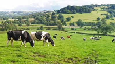 Sequestering carbon in soil can be a key part of the net zero puzzle. Credit: Getty/mikedabell