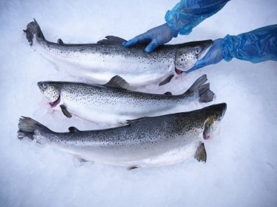 Scottish salmon exports sales promise to surpass pre-COVID figure, according to Salmon Scotland. Image: Getty