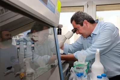 Prof. Koby Nahmias working in his lab. Credit: Nahmias Lab