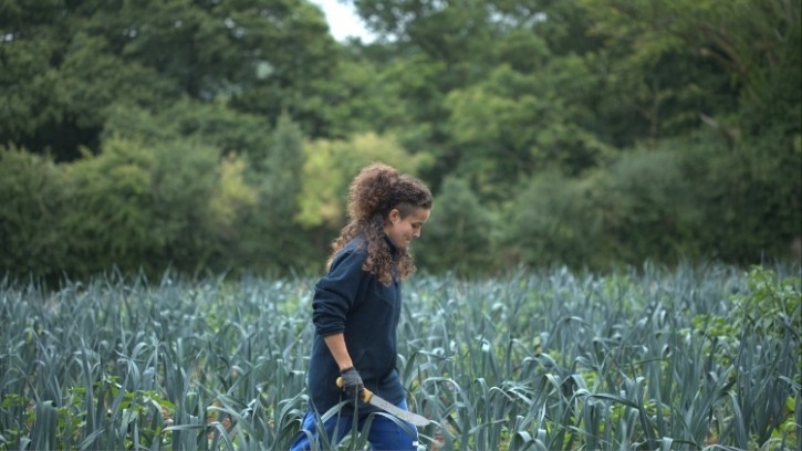 The letter warned that the UK is too reliant on imported fruit and vegetables. Credit: The Soil Association