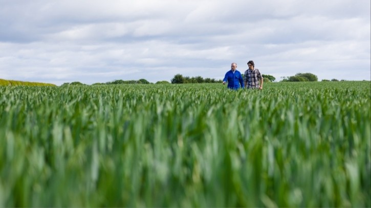 The value of both arable and pasture land increased during Q3. Credit: Getty / SolStock