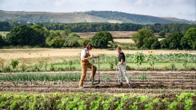 Regenerative agriculture remains relatively uncommon at scale. Credit: Getty / JohnnyGreig