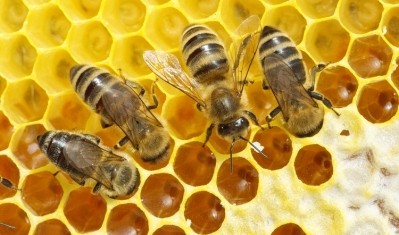 New testing methods could detect adulteration in honey without opening the jar. Image: Getty, Hiob