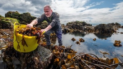 Pete Higgins (pictured) is the co-founder and CEO of House of Seaweed