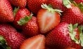 Strawberry yields could be reduced by 40% if global warming continues its course. Image: Getty, Jonathan Knowles