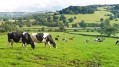 Sequestering carbon in soil can be a key part of the net zero puzzle. Credit: Getty/mikedabell